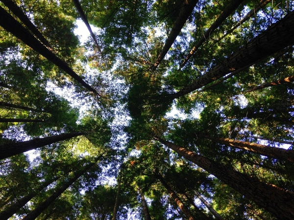  Environment